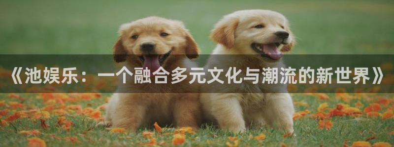 手机版开心网
