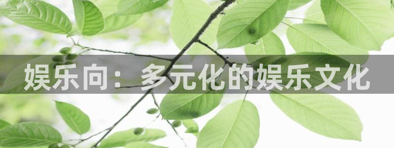 成都市开心彩之韵印刷有限公司