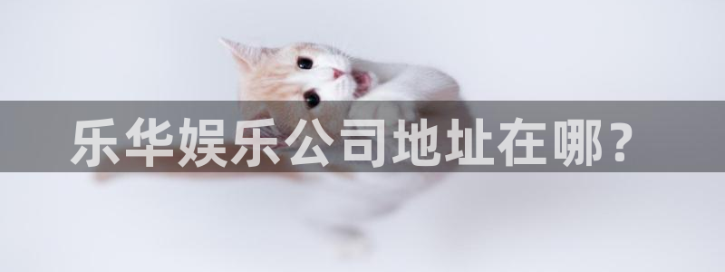 开心彩：乐华娱乐公司地址在哪？