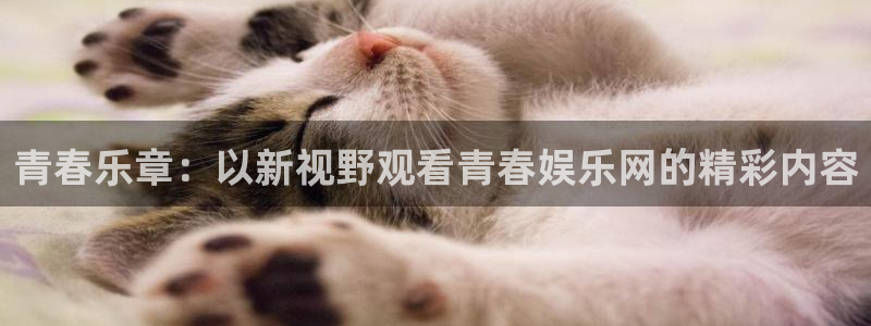 手机版开心网：青春乐章：以新视野观看青春娱乐网的精彩内容