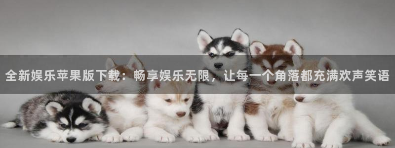 下载开心彩：全新娱乐苹果版下载：畅享娱乐无限，让每一个角落都充满欢声笑语
