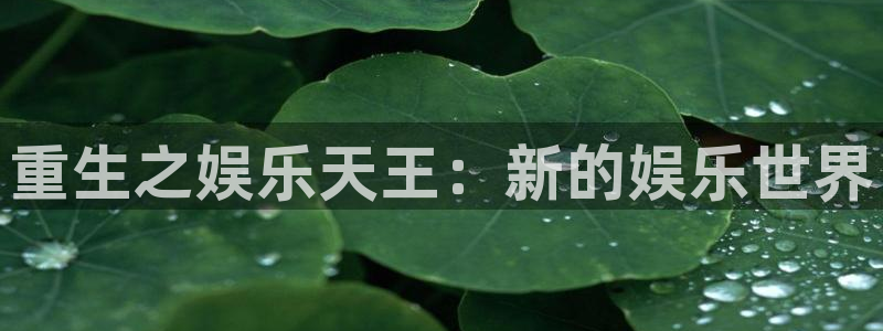开心激情第六色：重生之娱乐天王：新的娱乐世界
