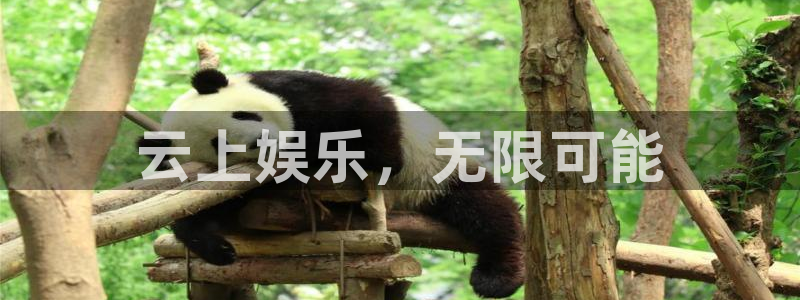 开心彩welcome：云上娱乐，无限可能