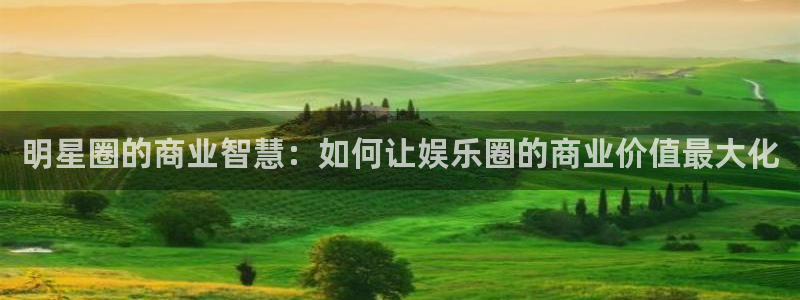 开心彩手机版：明星圈的商业智慧：如何让娱乐圈的商业价值最大化