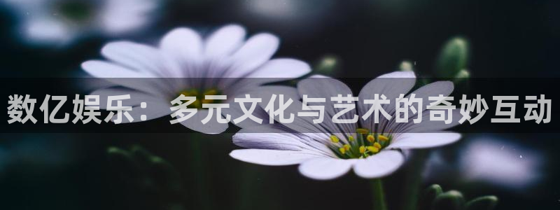开心8快乐彩：数亿娱乐：多元文化与艺术的奇妙互动