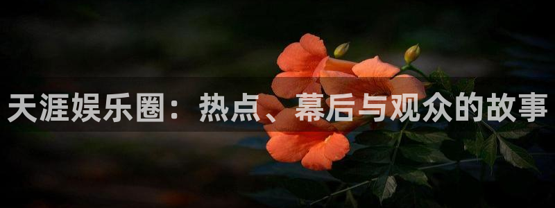 开心激情第六色：天涯娱乐圈：热点、幕后与观众的故事