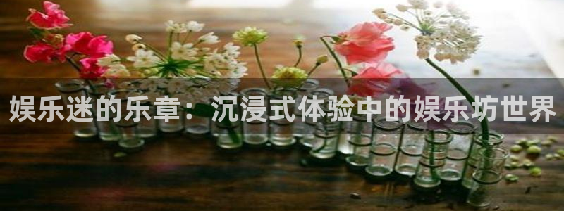 开心彩下载手机版：娱乐迷的乐章：沉浸式体验中的娱乐坊世界