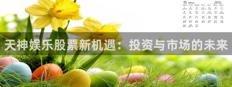 开心激情第六色：天神娱乐股票新机遇：投资与市场的未来
