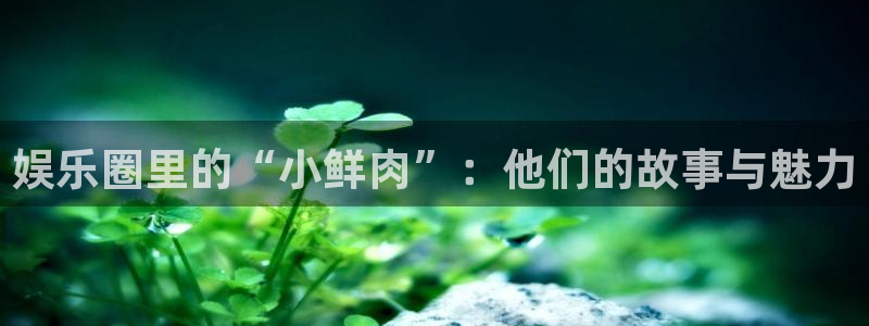 开心彩正版官网入口：娱乐圈里的“小鲜肉”：他们的故事与魅力