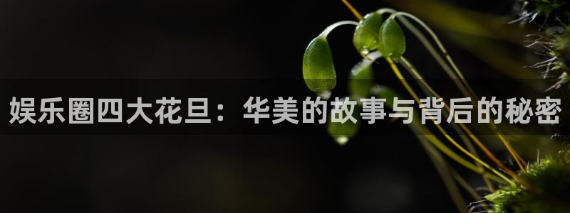 开心彩：娱乐圈四大花旦：华美的故事与背后的秘密