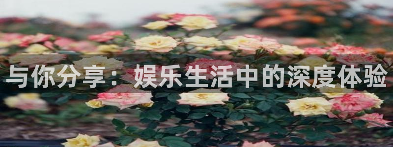 开心激情第六色：与你分享：娱乐生活中的深度体验
