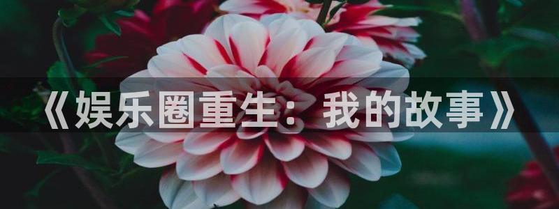 开心彩下载：《娱乐圈重生：我的故事》