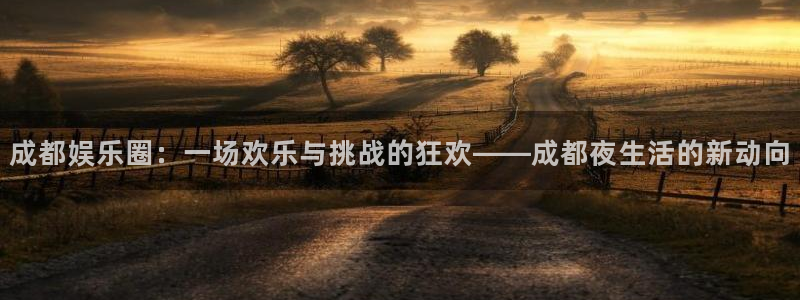 开心彩正版官网入口：成都娱乐圈：一场欢乐与挑战的狂欢——成都夜生活的新动向